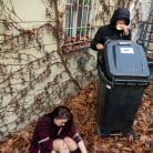 Charlie Nice in 'Veni, Vidi, Coitum'